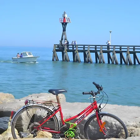 Apartment Appt Rez-de-jardin Courseulles-sur-Mer